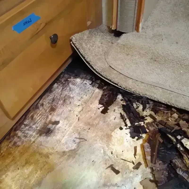 Best Wood Floor Water Damage Service in Myrtle Beach, SC